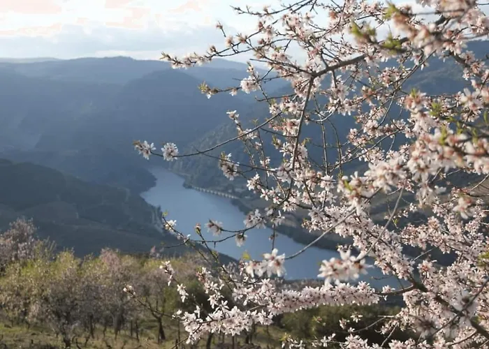 Eiradouro Casa Amendoeira * Mos (Guarda)